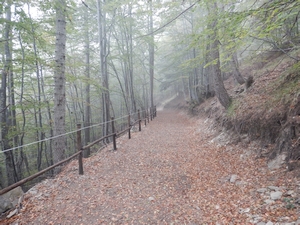 Inizio del percorso 